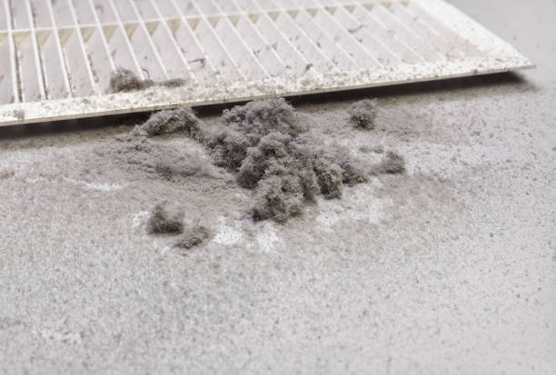 Best Professional Duct Cleaning Services  in Stroville, CA